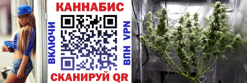 купить  цена  Кировград  Канабис планчик 